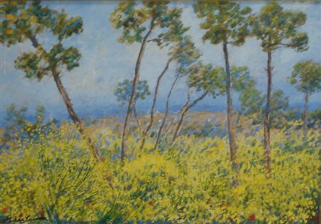 CASCELLA MICHELE ORTONA A MAR 1892 MILANO 1989 PAESAGGIO CON GINESTRE OLIO SU...