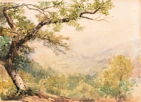 Filiberto Petiti (Torino 1845 - Roma 1924)  - Bosco di montagna