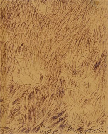 Studio per una acquaforte