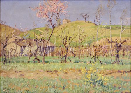 Mattino di primavera a San Zenone degli Ezzelini