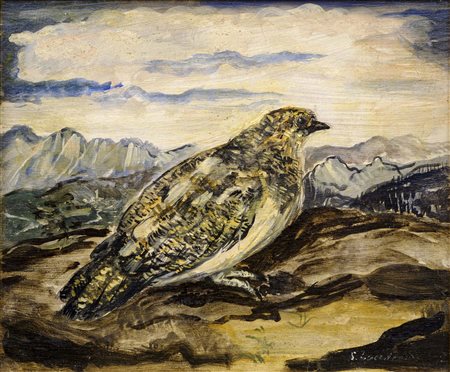 Pernice bianca del Falzarego