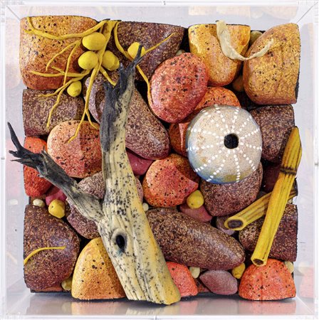 Spiaggia rossa con datteri