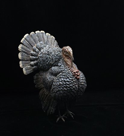 Tacchino di N. Ingaldi