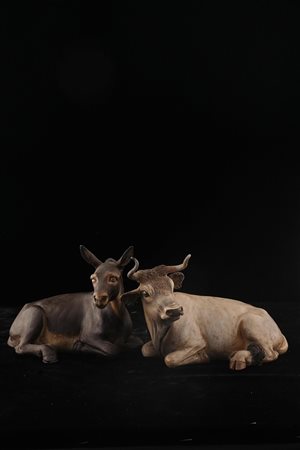 Bue e Asino accosciati