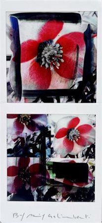 Maurizio Galimberti “BiFlowers”