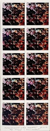 Maurizio Galimberti “InquietudineWithFlowers” 2017