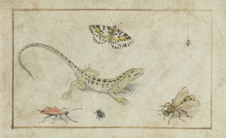 PITTORE ANONIMO<BR>"Studio di animali" XVIII secolo