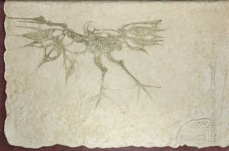 ASAHARA HIROAKI<BR>Tokyo (Giappone) 1944 - 2015 Cerrina Monferrato<BR>"Senza titolo"