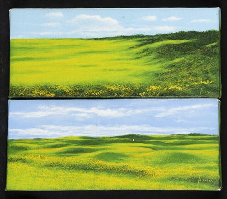 DANIELE FISSORE<BR>Savigliano (CN) 1947 - 2017<BR>a-"Green", 1989<BR>b-"Green"1989