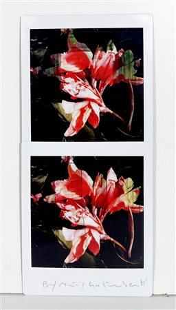 MAURIZIO GALIMBERTI, 7,3 X 15,5 cm, Titolo: "BiFlowers" Mosaico 2 Fujifilm...