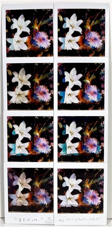 MAURIZIO GALIMBERTI, 15,5 X 29 cm, Titolo: "8F.K.M." Mosaico 8 Fujifilm...