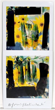 MAURIZIO GALIMBERTI, 7,3 X 15,5 cm, Titolo: "BiFlowers" Mosaico 2 Fujifilm...