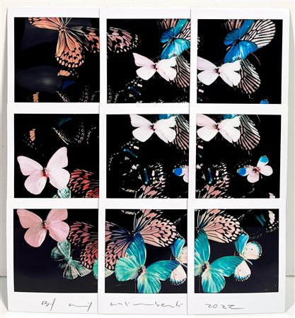 MAURIZIO GALIMBERTI, 21 X 22,5 cm, ”Butterfly”, mosaico Fuji Instax square,...