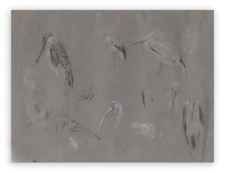 LUIGI BONAZZA, 26 X 34 cm, titolo studio di trampolieri 1903/1905, matita e...