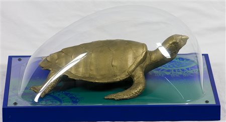 Cracking Art Group S.O.S. World, Testuggini a Venezia, 2001 Scultura in...