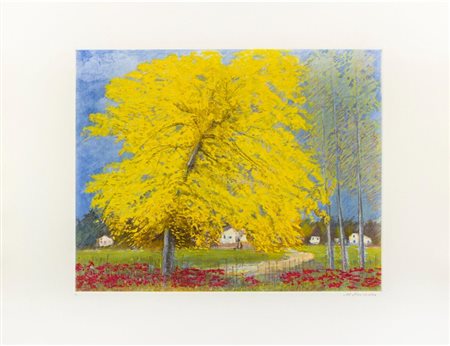 MICHELE CASCELLA, California