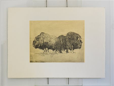 JESSICA ROSALIND CARROLL, Senza titolo (Bisonti)