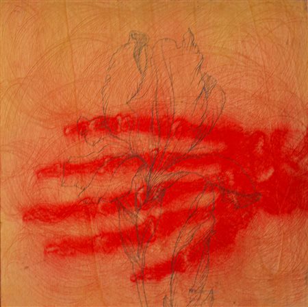 OMAR GALLIANI, Nuovi fiori nuovi santi