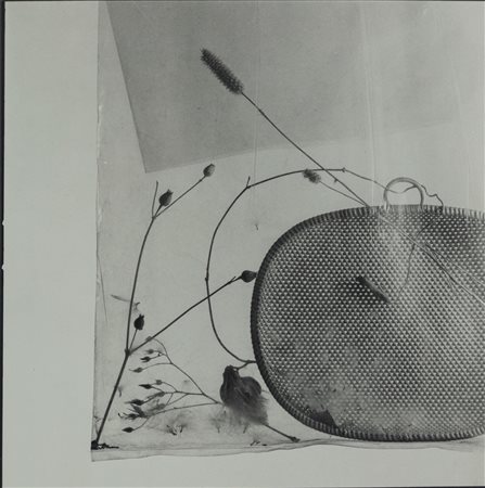 Toni Catany (1942 - 2014)  - Hestrs seques, 1980