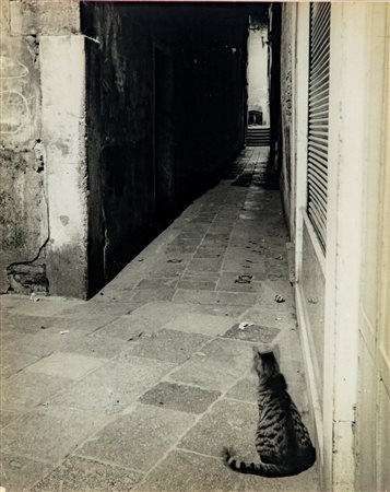 Carlo Cisventi (1929 - 1988)  - Senza titolo, 1960s