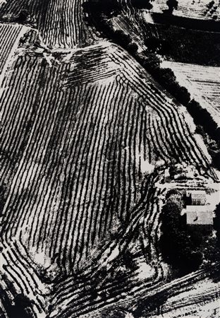 Mario Giacomelli (1925 - 2000)  - Presa di coscienza sulla natura, 1975/1985