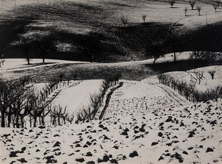 Mario Giacomelli (1925 - 2000)  - Presa di coscienza sulla natura, 1975/1985
