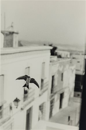 Bernard Plossu (1945)  - Spagna, 2003