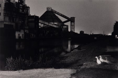 Lynn Saville (1950)  - Red Hook ducks, Brooklyn, New York, 1980s
