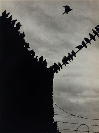 Pino Settanni (1949 - 2010)  - Il ritardatario, 1970s