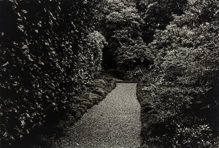 Fulvio Ventura (1941)  - Senza titolo, 1980s