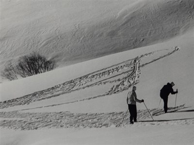 Fotografia / Christmas Early Gifts