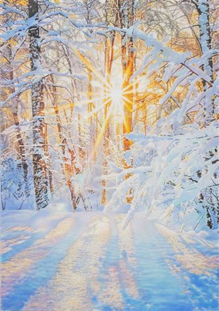 Danilo Curcelli, La fulgida luce del mattino