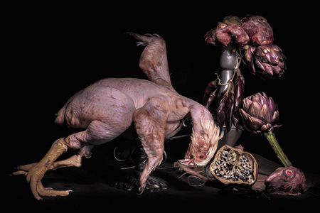 Antonio Turriciano, L’inchino