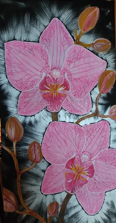 Francesca Dringoli, Il più elegante