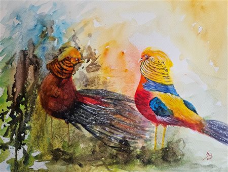 Solange Esposito, La conquista