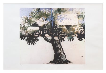 Mario Schifano, Vero amore