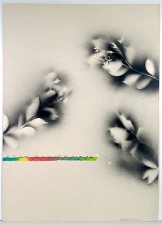 ALFREDO RAPETTI MOGOL