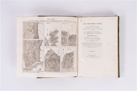 Ignazio Bevilacqua Lazise - Dei combustibili fossili esistenti nella provincia veronese [...] Memoria mineralogico-economica premiata dall'Accade (…)