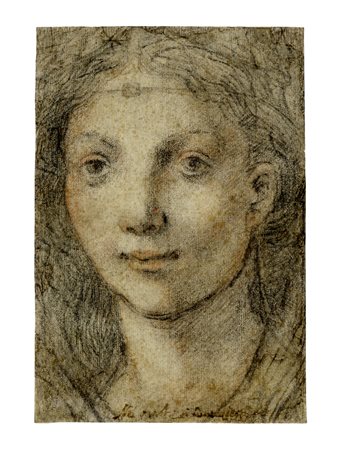 Anonimo fiorentino del XVII secolo, Testa di giovane donna. 1620-1650 ca....