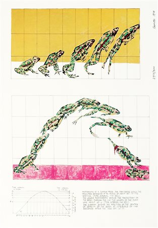 Nancy Graves, Photographs of a jumping frog. 1971. Offset. mm 420x292. Firma,...