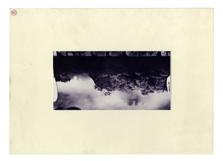 Paola Mattioli, Evergreen. 2001. Fotografia. mm 100x200. Bollino con sigla...