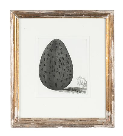 David Hockney, The boy hidden in an egg. 1969. Acquaforte. mm 200x170....