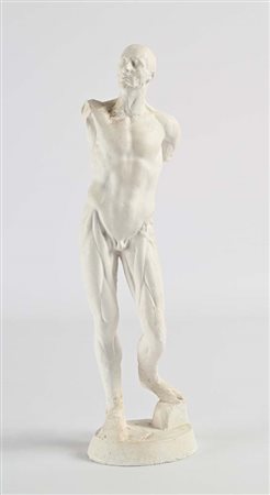Studio anatomico in gesso, Italia, fine del XIX/inizi del XX secolo altezza...