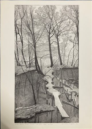 Federica Galli "Bosco Pisani Dossi - Il pasto delle anitre" 1977
acquaforte
(las