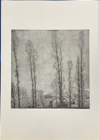 Federica Galli "Paesaggio" 1973
acquaforte
(lastra cm 39,5x40; foglio cm 70x50)