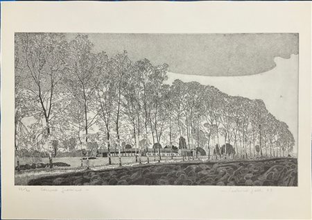 Federica Galli "Cascina Gressina" 1979
acquaforte
(lastra cm 35x54; foglio cm 49