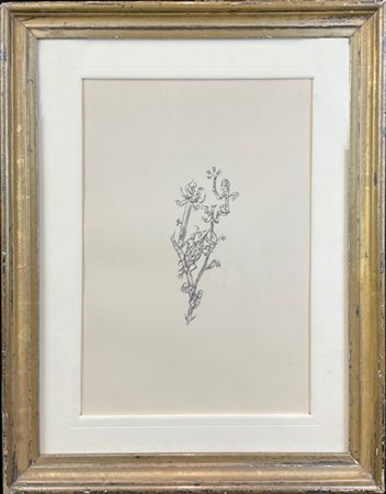 Paul Klee "Riesenblattlaus" 1920
litografia
cm 28,5x20

Provenienza
Galleria de