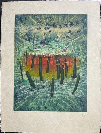 Roberto Matta "Il explose" 1976 - 77
acquaforte e acquatinta a colori su carta g