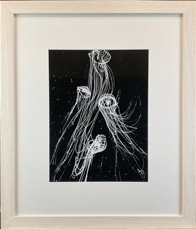 SHARON FORMICHELLA PARISI "Senza titolo (Dreamed in Japan)" 2015
fotografia in b