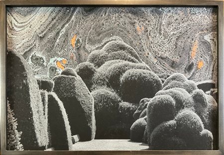 MARIA LOBODA "Formal garden in the early morning hours" 2013
stampa fotografica